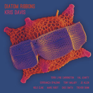 Diatom Ribbons de Kris Davis