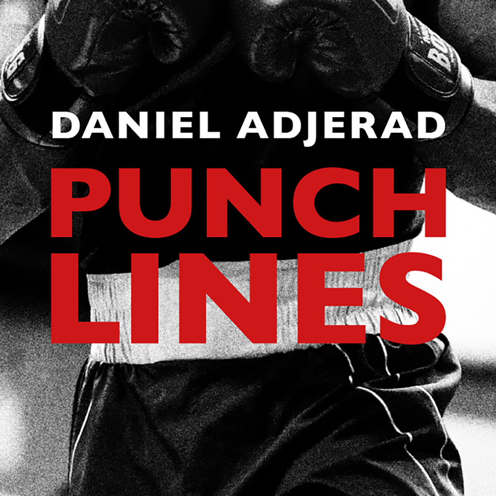Punchlines de Daniel Adjerad