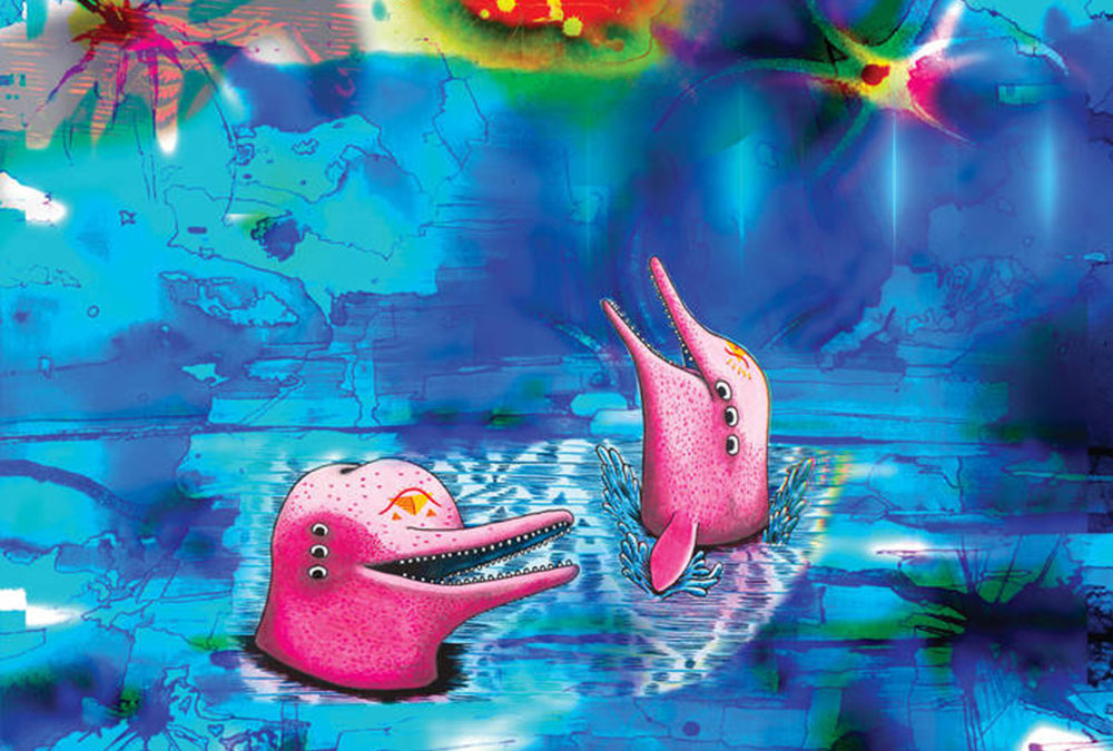 Pink Dolphins, chronique