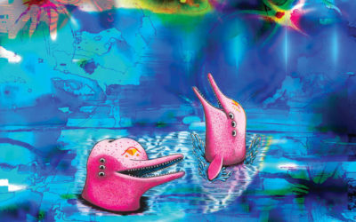 Pink Dolphins, chronique