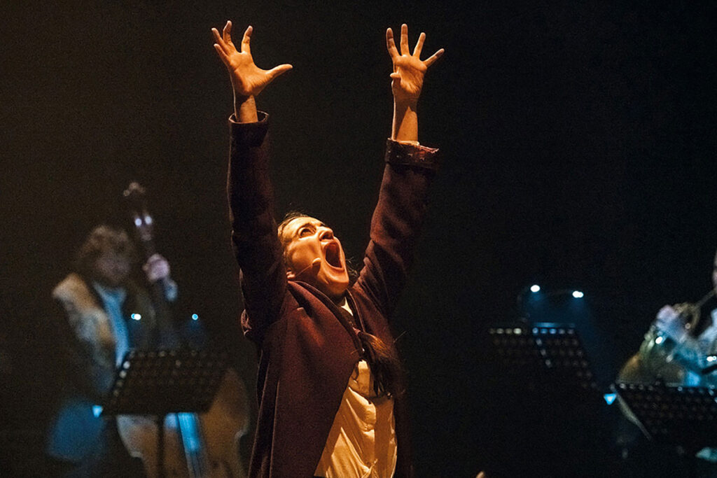 Dracula ONJ © Sylvain Gripoix
