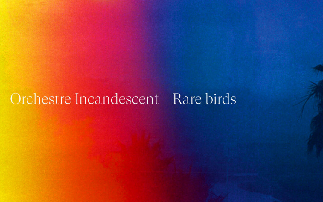 Rare Birds, chronique