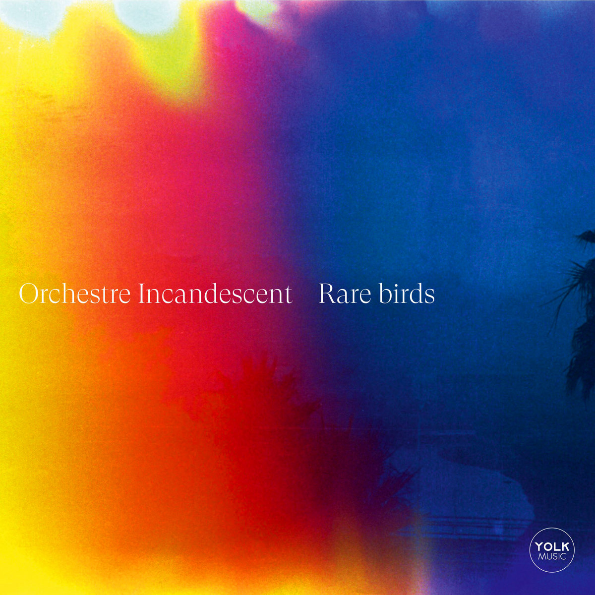 Rare Birds / Orchestre Incandescent