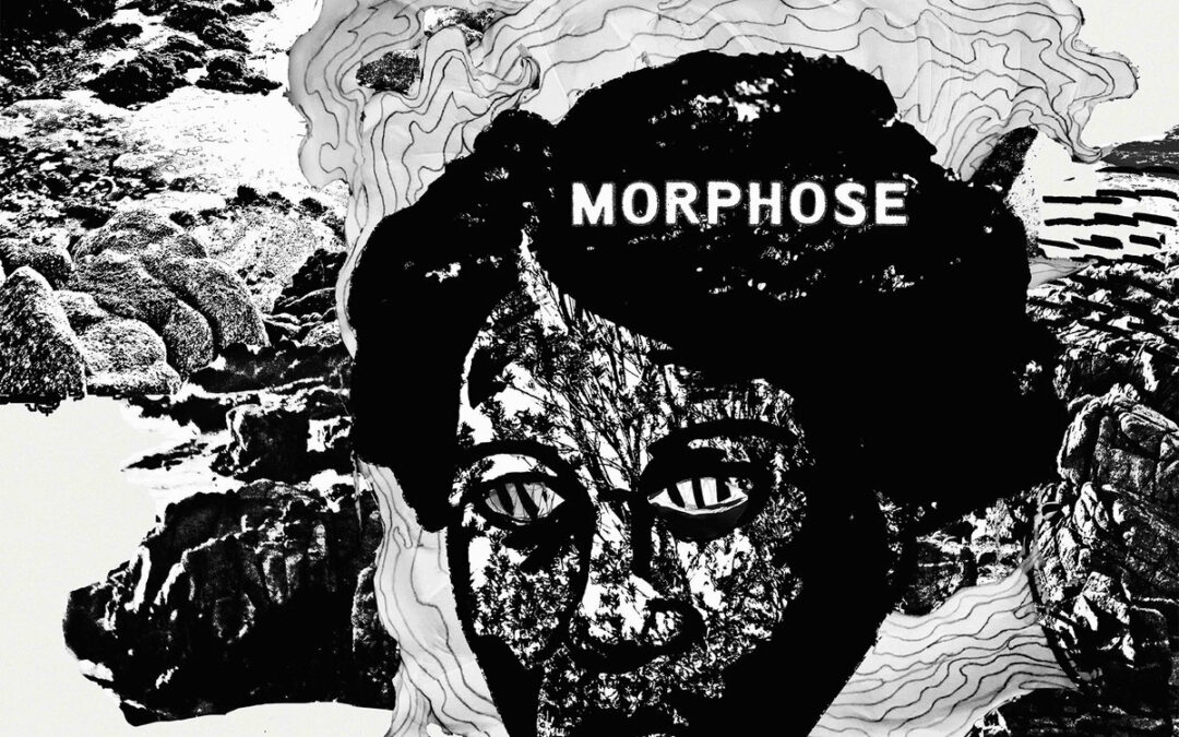 Morphose, chronique