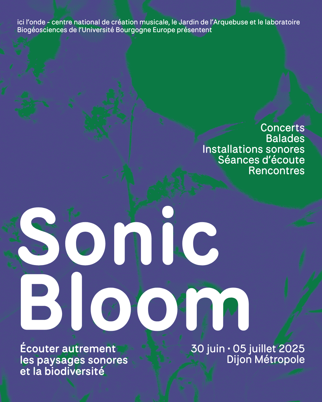 SONIC BLOOM