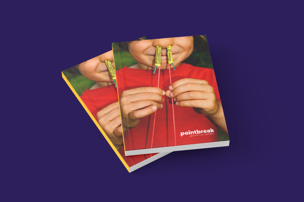 la revue pointbreak n°8