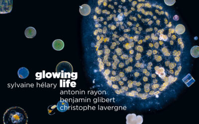 Glowing Life, chronique